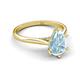 5 - Zaire 1.30 ctw Aquamarine Pear Shape (9x6 mm) Hidden Halo accented Side Natural Diamond Engagement Ring 