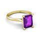 5 - Zaire 2.37 ctw Amethyst Emerald Shape (9x7 mm) Hidden Halo accented Side Natural Diamond Engagement Ring 