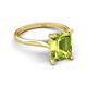 5 - Zaire 2.57 ctw Peridot Emerald Shape (9x7 mm) Hidden Halo accented Side Natural Diamond Engagement Ring 