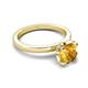 5 - Abena 0.93 ctw Citrine (6.50 mm) with Prong Studded Side Natural Diamond Solitaire Plus Engagement Ring 