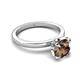5 - Abena 1.06 ctw Smoky Quartz (6.50 mm) with Prong Studded Side Natural Diamond Solitaire Plus Engagement Ring 