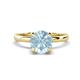 1 - Abena 0.93 ctw Aquamarine (6.50 mm) with Prong Studded Side Natural Diamond Solitaire Plus Engagement Ring 