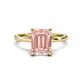 1 - Lucia 2.39 ctw Morganite Emerald Shape (9x7 mm) Hidden Halo accented Natural Diamond Engagement Ring 