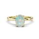 1 - Lucia 1.46 ctw Opal Oval Shape (9x7 mm) Hidden Halo accented Natural Diamond Engagement Ring 