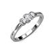 3 - Irina 0.49 ctw Natural Diamond (4.00 mm) With Natural Diamond Three Stone Ring  