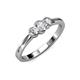 3 - Irina 0.49 ctw Lab Grown Diamond (4.00 mm)  with Side Lab Grown Diamond Three Stone Engagement Ring 