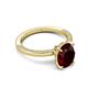 5 - Lucia 2.34 ctw Red Garnet Oval Shape (9x7 mm) Hidden Halo accented Natural Diamond Engagement Ring 