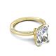 5 - Lucia 2.64 ctw IGI Certified Lab Grown Diamond Radiant Shape (9x7 mm) & Side Natural Diamond Hidden Halo Engagement Ring  