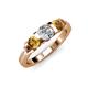 3 - Raea 1.13 ctw Lab Grown Diamond and Citrine Three Stone Engagement Ring 