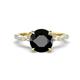 1 - Laila 3.48 ctw Black Diamond (8.00 mm) Hidden Halo Engagement Ring 