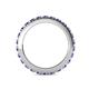 5 - Gracie 0.99 ctw Tanzanite (2.30 mm) Women Eternity Band 