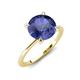 4 - Morgan 1.30 ctw Center Iolite with Prong Studded Natural Diamond Solitaire Plus Engagement Ring 