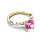 5 - Laila 2.98 ctw Created Pink Sapphire (8.00 mm) Hidden Halo Engagement Ring 