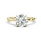 1 - Lucia 1.76 ctw Moissanite (8 mm) Hidden Halo accented Natural Diamond Engagement Ring  