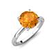 3 - Lucia 2.06 ctw Citrine (8 mm) Hidden Halo accented Natural Diamond Engagement Ring  