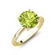 3 - Lucia 1.96 ctw Peridot (8 mm) Hidden Halo accented Natural Diamond Engagement Ring  