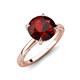 3 - Lucia 2.41 ctw Red Garnet (8 mm) Hidden Halo accented Natural Diamond Engagement Ring  