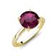 3 - Lucia 2.41 ctw Rhodolite Garnet (8 mm) Hidden Halo accented Natural Diamond Engagement Ring  