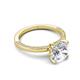 5 - Lucia 1.76 ctw Moissanite (8 mm) Hidden Halo accented Natural Diamond Engagement Ring  