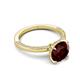 5 - Lucia 2.41 ctw Red Garnet (8 mm) Hidden Halo accented Natural Diamond Engagement Ring  