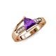 4 - Medora 1.09 ctw Trillion shape Amethyst (7.00 mm) accented Natural Diamonds Engagement Ring 