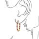 3 - Amia Rhodolite Garnet and Diamond Hoop Earrings 