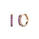 1 - Aricia Petite 0.22 ctw Amethyst Hoop Earrings 