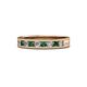 1 - Vanna 2.20 mm Emerald and Diamond 9 Stone Wedding Band 
