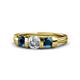 1 - Raea 1.10 ctw Natural Diamond (5.00 mm) With Blue Diamond Three Stone Ring  