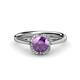 1 - Myrna Round Amethyst and Diamond Halo Engagement Ring 