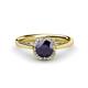1 - Myrna Round Iolite and Diamond Halo Engagement Ring 