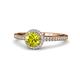 1 - Syna Signature Yellow and White Diamond Halo Engagement Ring 