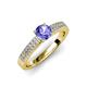 3 - Aysel Tanzanite and Diamond Double Row Engagement Ring 