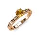 3 - Niah Classic 6.50 mm Round Citrine Solitaire Engagement Ring 