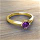 3 - Isla 5.00 mm Round  Amethyst Solitaire Engagement Ring  