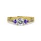 3 - Dzeni Diamond and Iolite Three Stone Engagement Ring 