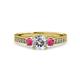 3 - Dzeni Diamond and Rhodolite Garnet Three Stone Engagement Ring 