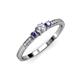 2 - Tresu Diamond and Iolite Three Stone Engagement Ring 