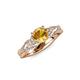 4 - Belinda Signature Citrine and Diamond Engagement Ring 