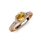 4 - Analia Signature Citrine and Diamond Engagement Ring 