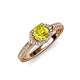 4 - Analia Signature Yellow and White Diamond Engagement Ring 