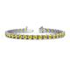 1 - Cliona 4.10 mm Yellow Sapphire Eternity Tennis Bracelet 