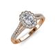 3 - Raisa Desire Oval Cut Diamond Halo Engagement Ring 