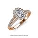 3 - Raisa Desire Oval Shape Diamond and Round Diamond Halo Engagement Ring 