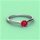 2 - Solus Round Ruby Solitaire Engagement Ring  