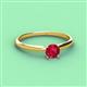 2 - Solus Round Ruby Solitaire Engagement Ring  