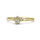 1 - Paw Bold Round Lab Grown and Mined Diamond Promise Ring 