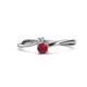 Lucie 4.10 mm Bold Round Ruby and Diamond 2 Stone Promise Ring 