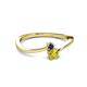 2 - Lucie 4.10 mm Bold Round Blue Sapphire and Yellow Diamond 2 Stone Promise Ring 