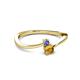 2 - Lucie 4.10 mm Bold Round Tanzanite and Citrine 2 Stone Promise Ring 